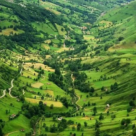 Baco Valles Pasiegos *