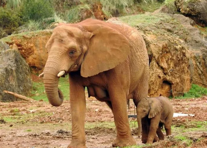 Baco Valles Pasiegos Apartment *