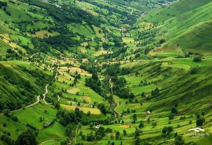 Baco Valles Pasiegos *